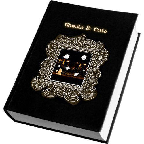 eBook Ghost and Cats on Amazon Kindle Books